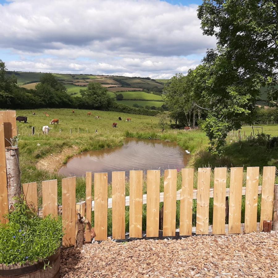 Foxglove Accommodation Craven Arms Dış mekan fotoğraf