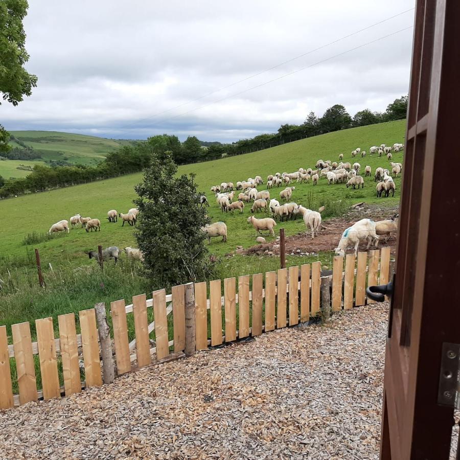 Foxglove Accommodation Craven Arms Dış mekan fotoğraf