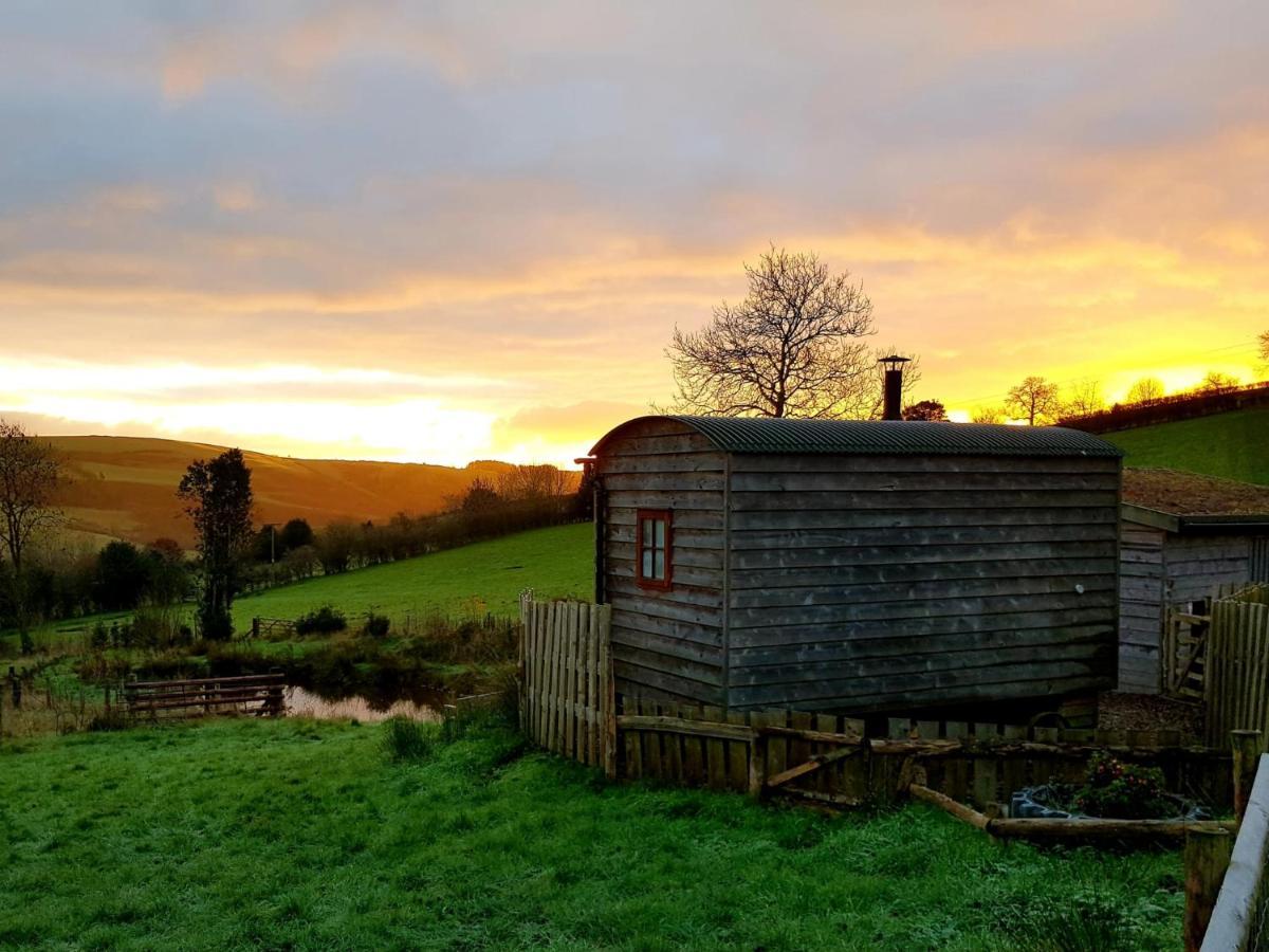 Foxglove Accommodation Craven Arms Dış mekan fotoğraf