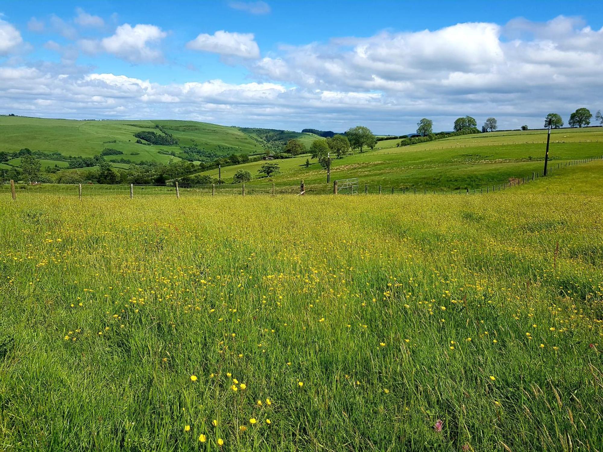Foxglove Accommodation Craven Arms Dış mekan fotoğraf